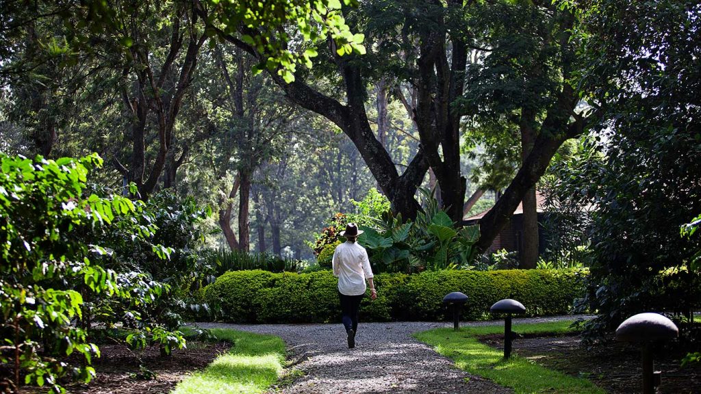 ArushaCoffeeLodge---Leafy-Gardens