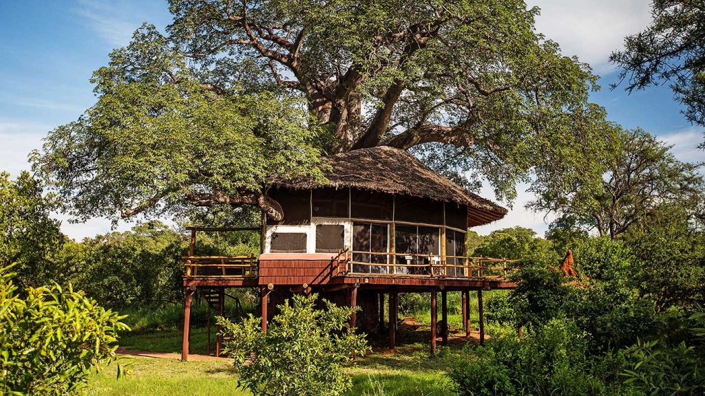 Tarangire-Treetops---accommodation---exterior-view-of-Treehouse-Suite