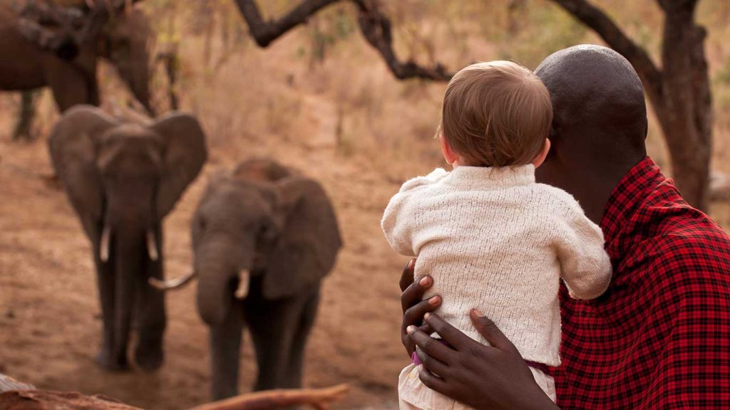 Tarangire-treetops-elephant-hole