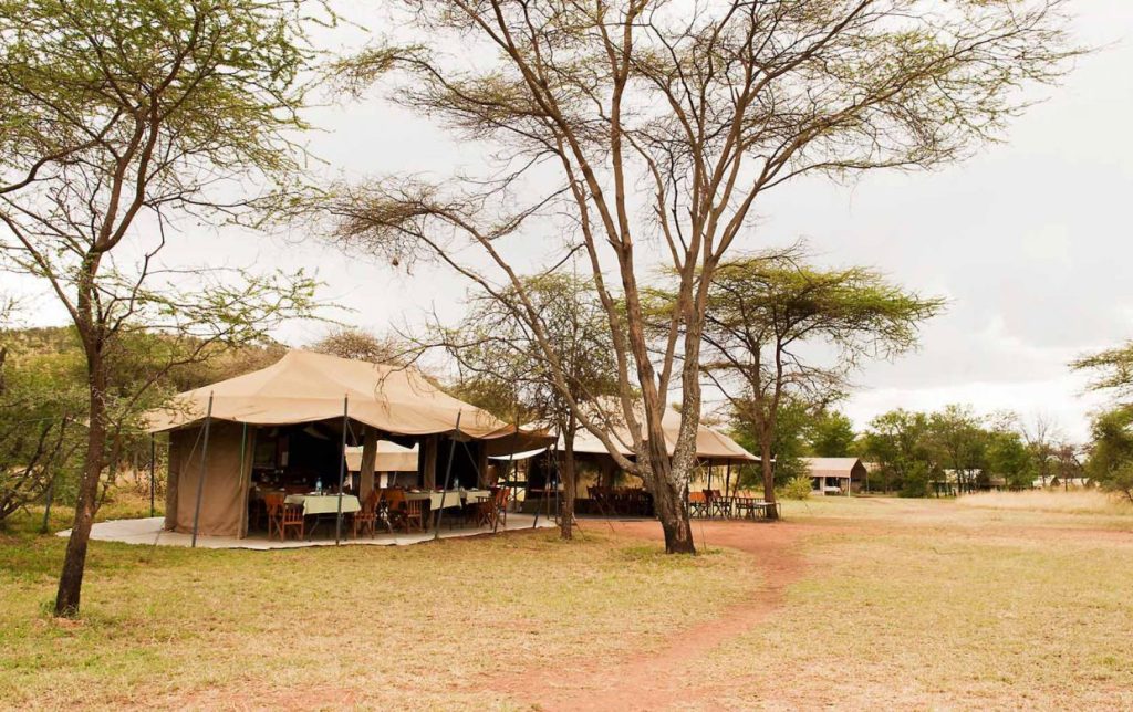accommodatie-kati-kati-tented-camp00001-1240x780