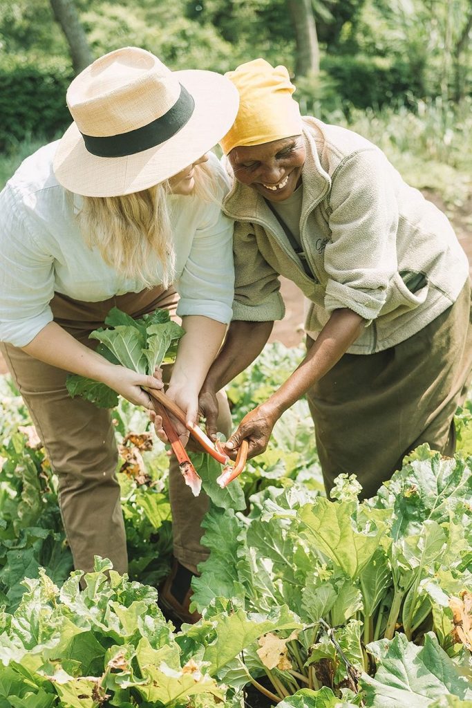 picking-fresh-produce