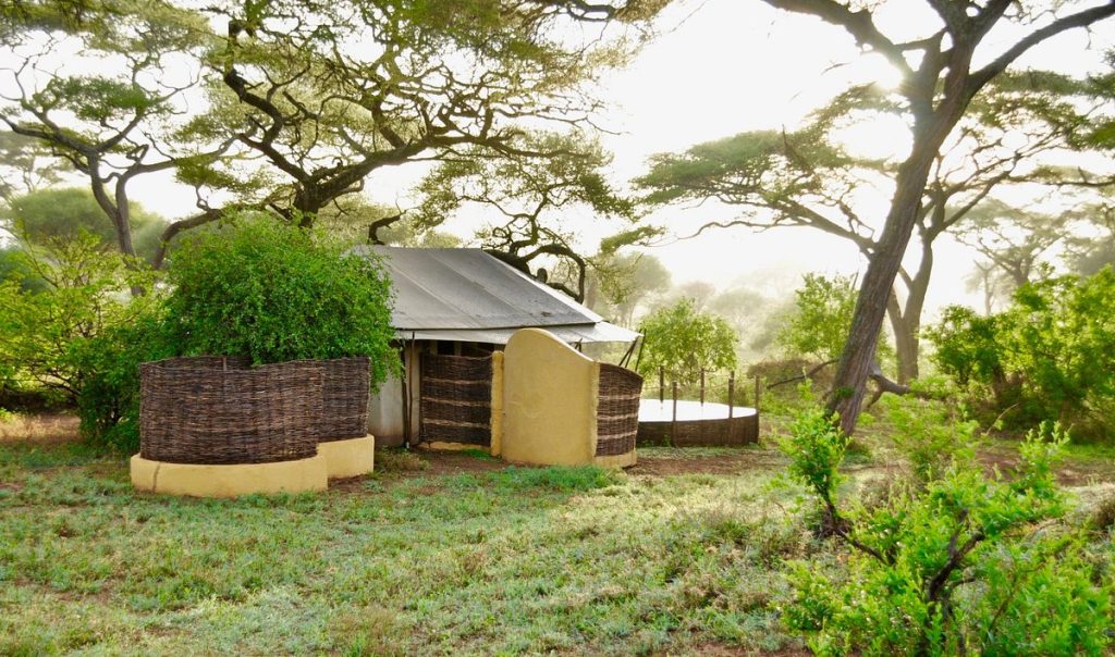 sanctuary-swala (3)
