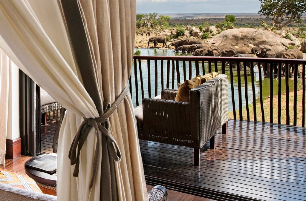 savannah-room-waterhole