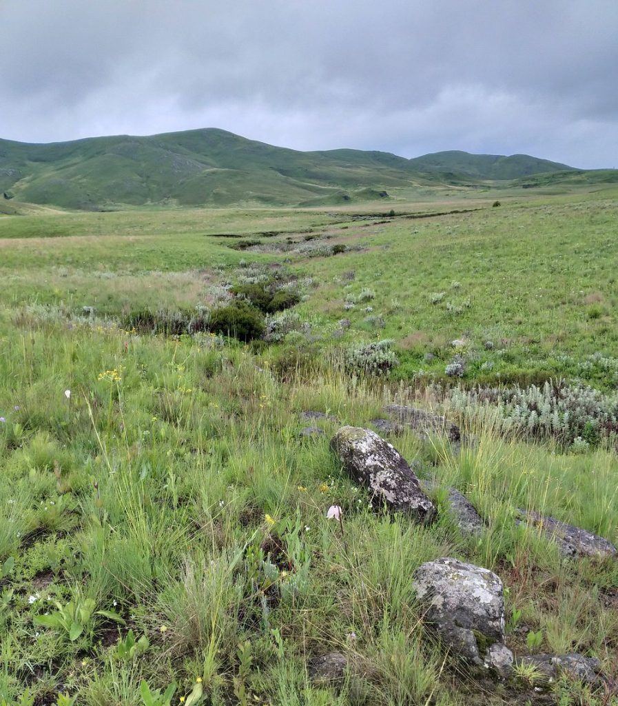 kitulo-national-park (1)