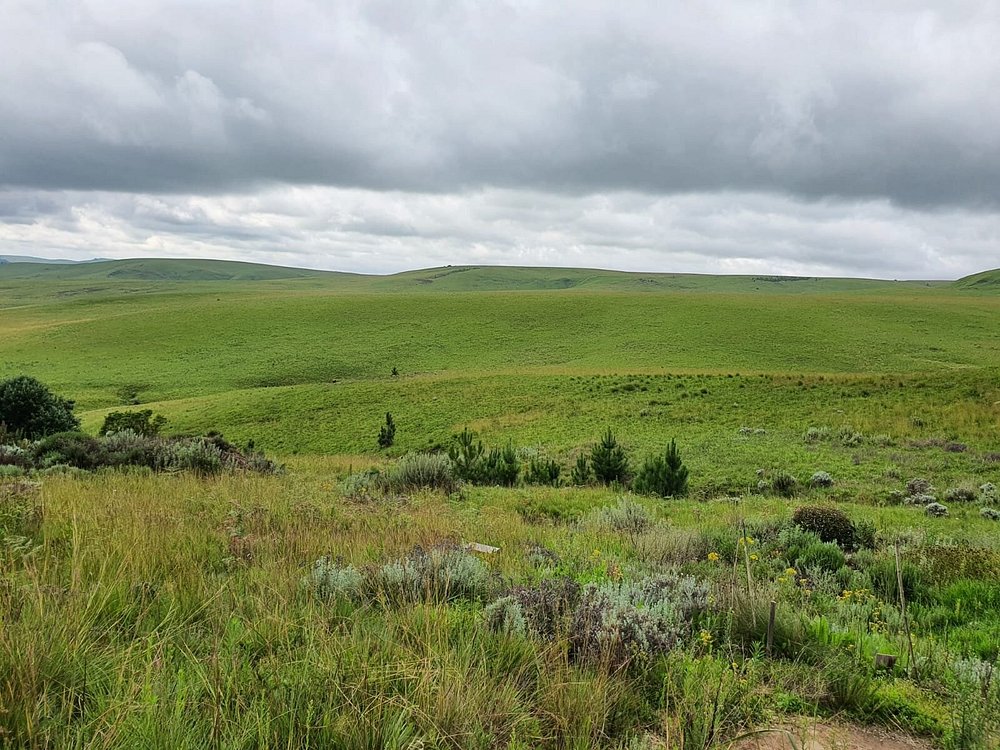 kitulo-national-park (5)