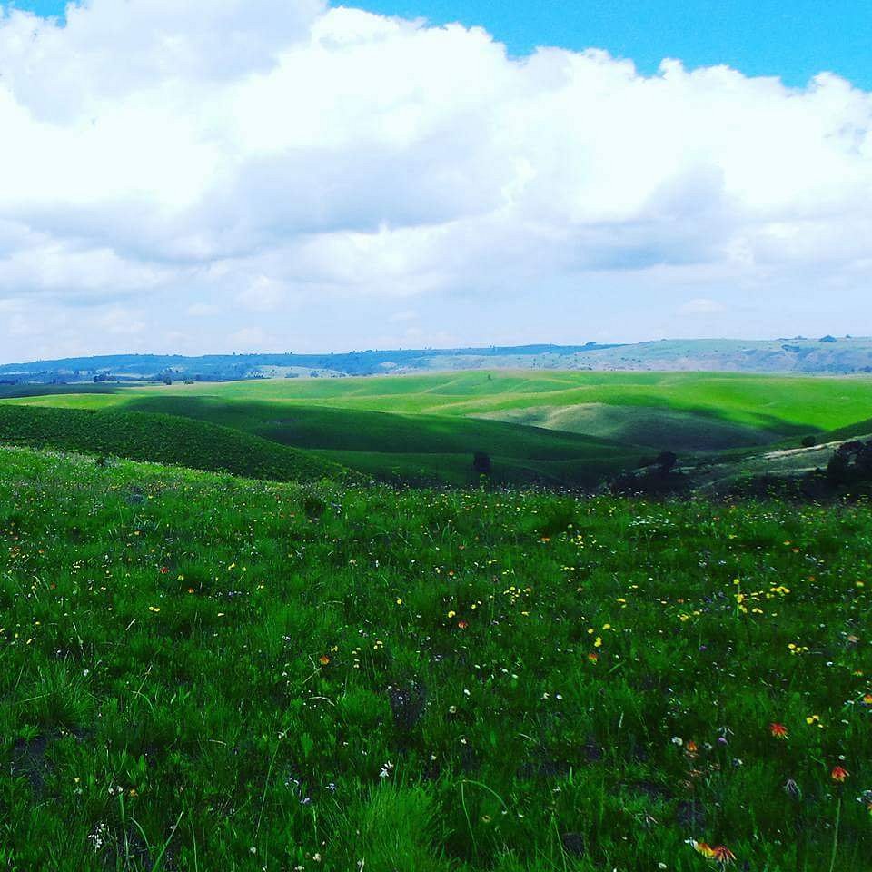 kitulo-parkthe-beautifully