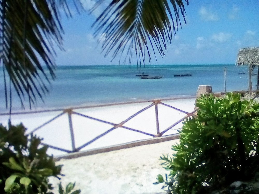 view-from-the-tropical
