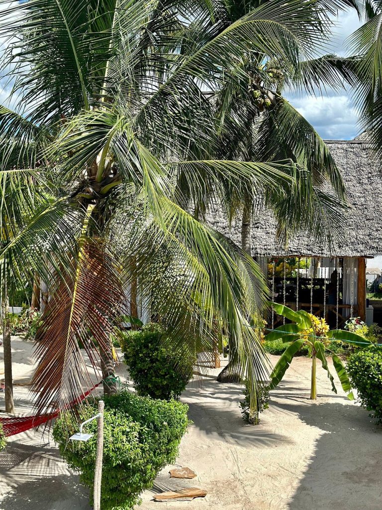 caption - 2025-10-01T134317.943