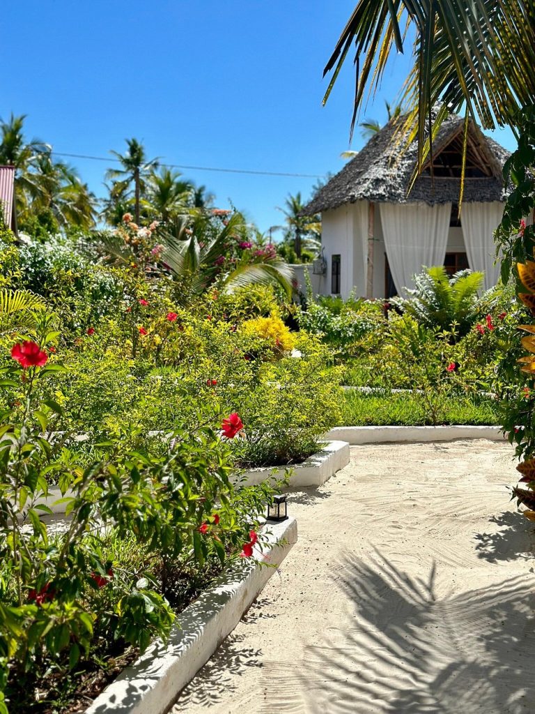 caption - 2025-10-01T134341.168