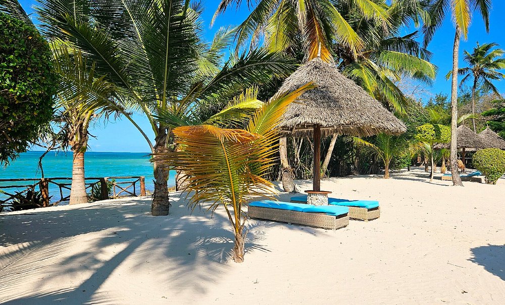 caption - 2025-10-07T143613.067