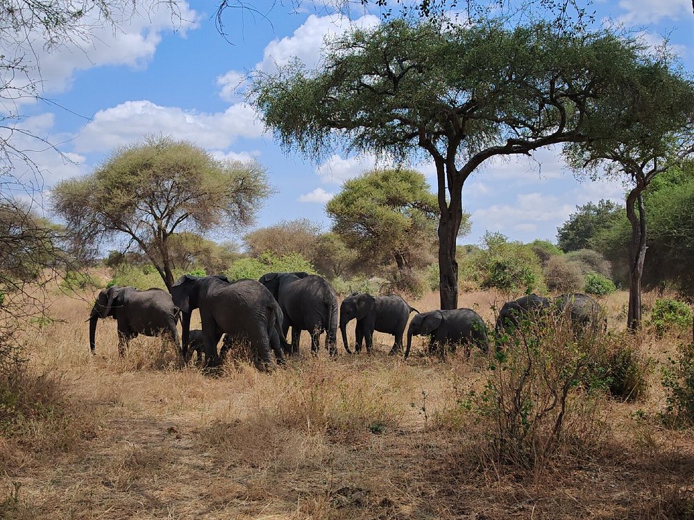 caption - 2025-10-13T123609.779