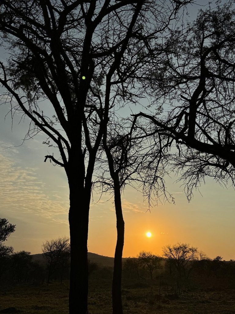 caption - 2025-10-13T153947.439