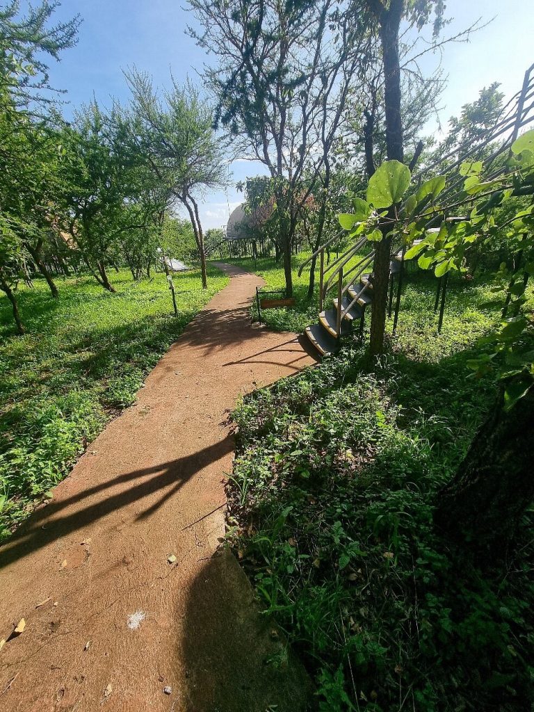 caption - 2025-10-13T162307.584