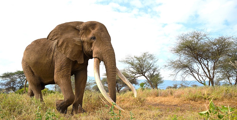 caption - 2025-10-18T094519.615