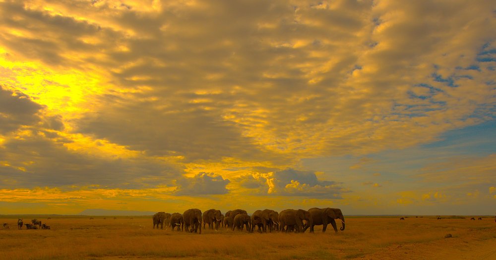 caption - 2025-10-18T094531.310