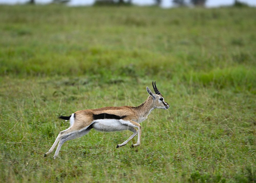 caption - 2025-10-18T094743.390