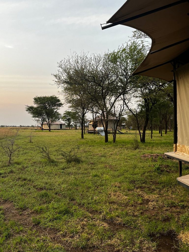 caption - 2025-10-18T094901.135