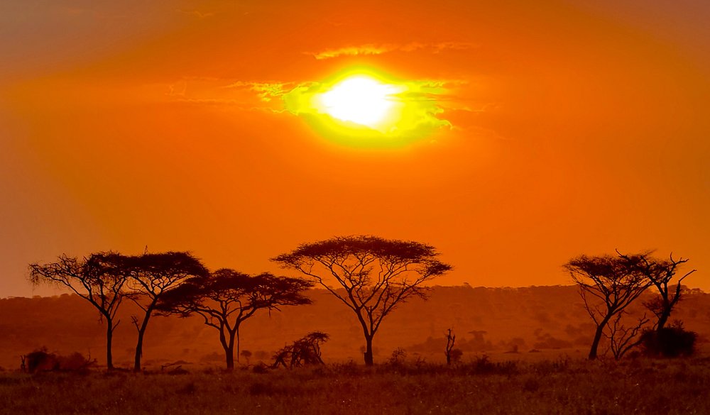 caption - 2025-10-18T094911.060