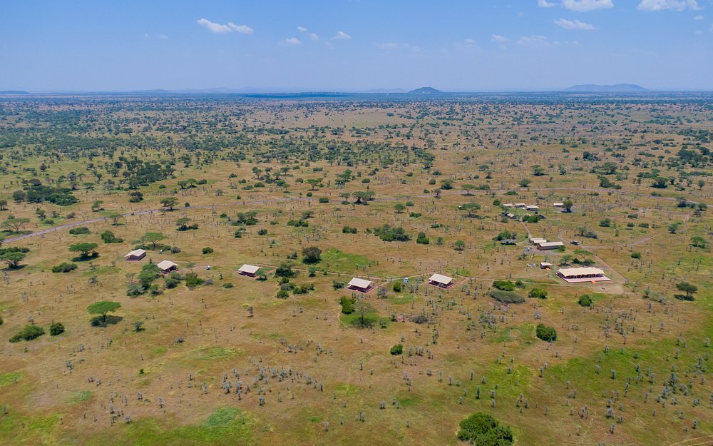 caption - 2025-10-18T112236.881