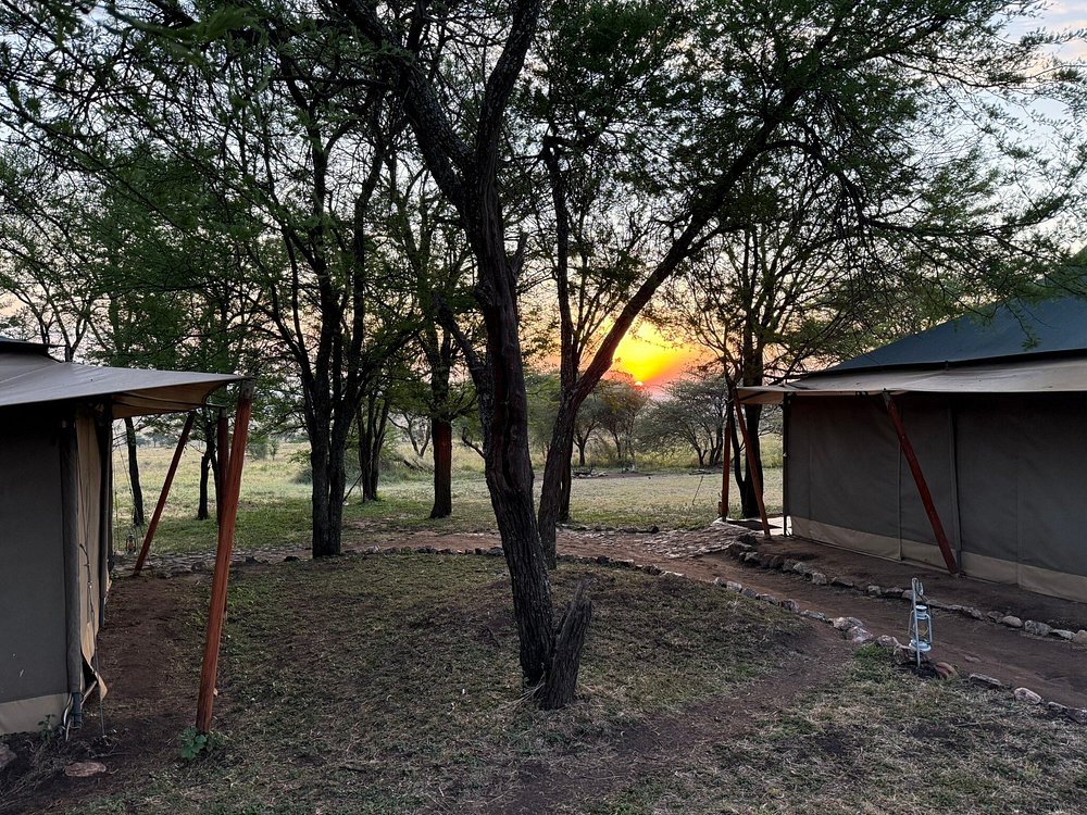 caption - 2025-10-21T125841.470