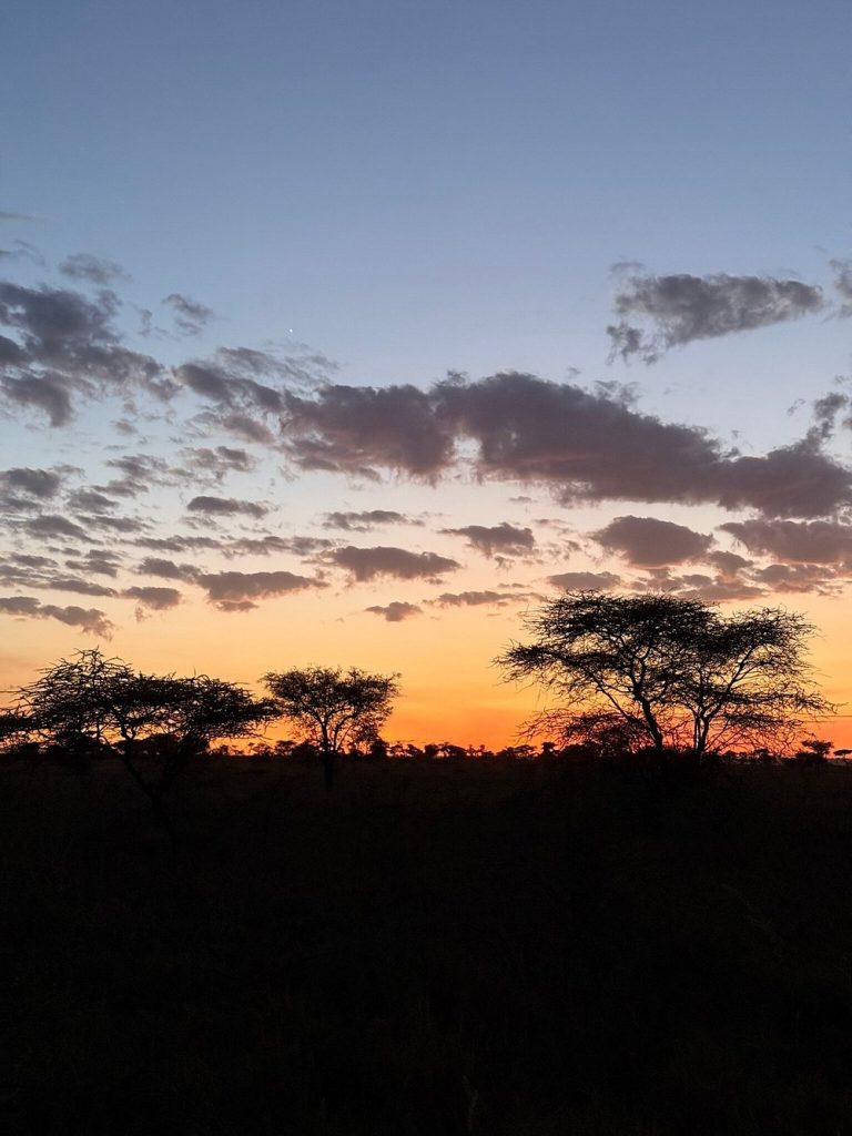 caption - 2025-10-22T152117.375