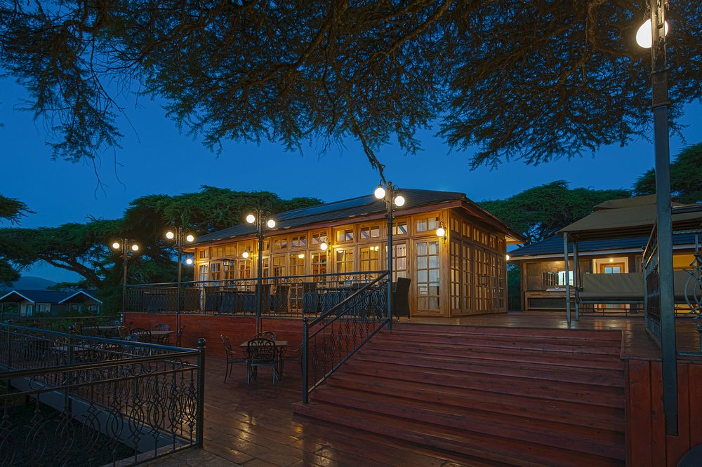 ngorongoro-lions-paw