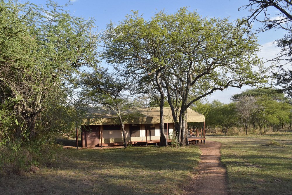 sanctuary-kusini-serengeti (1)