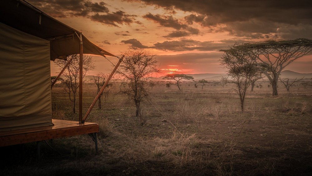 siringit-serengeti-camp (1)