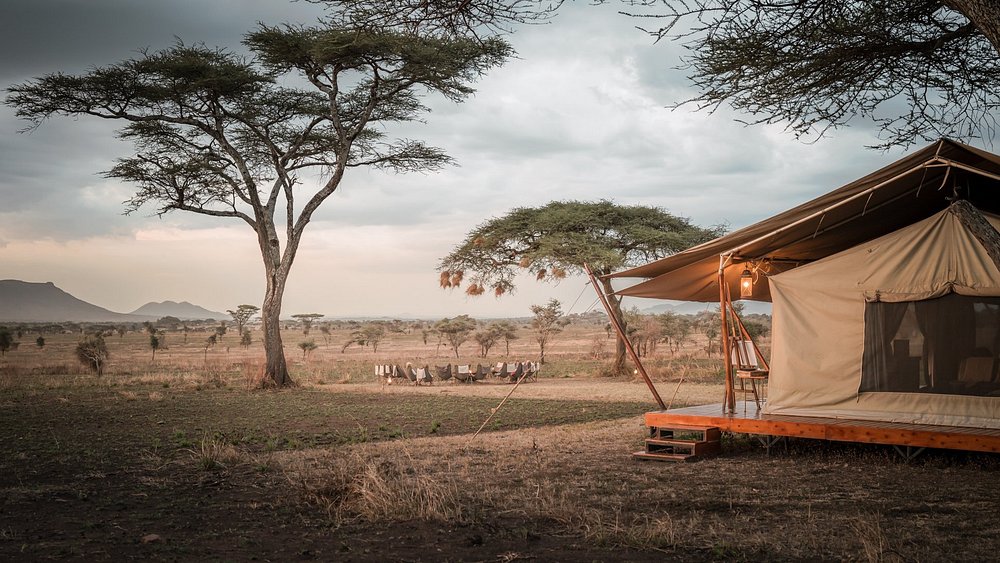 siringit-serengeti-camp (2)