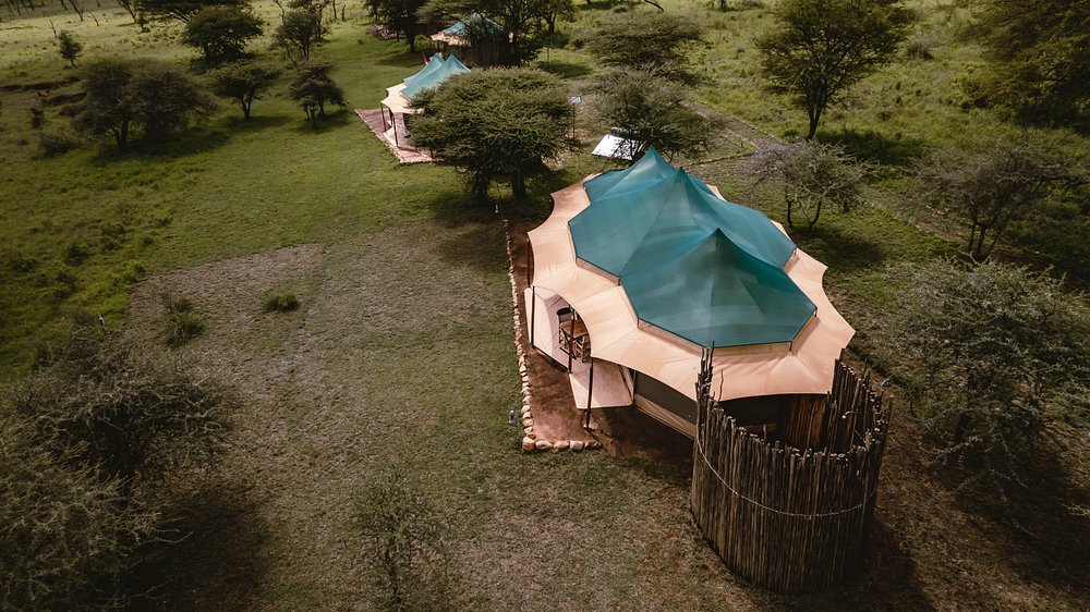 the-singing-grass (3)