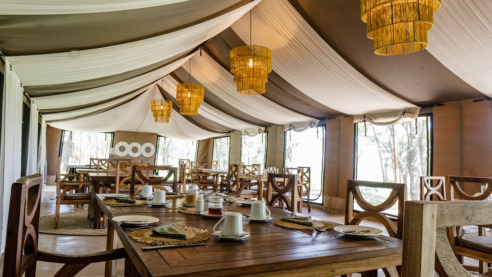 the-singing-grass (7)