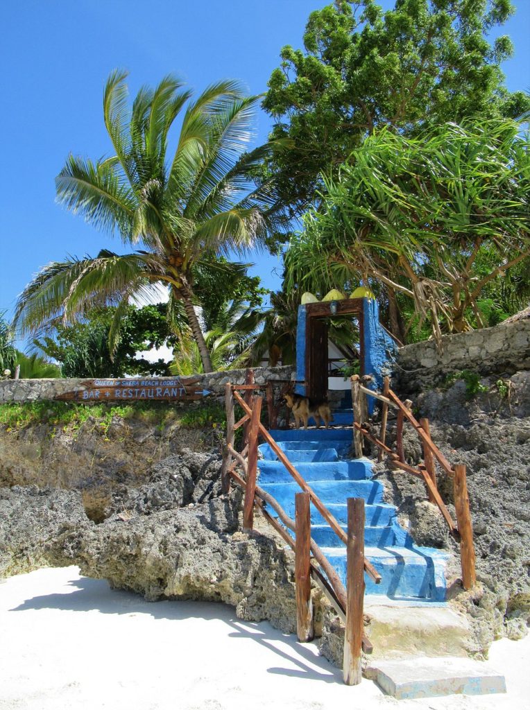 the-way-from-the-beach