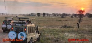 top Tanzania wildlife safari holiday