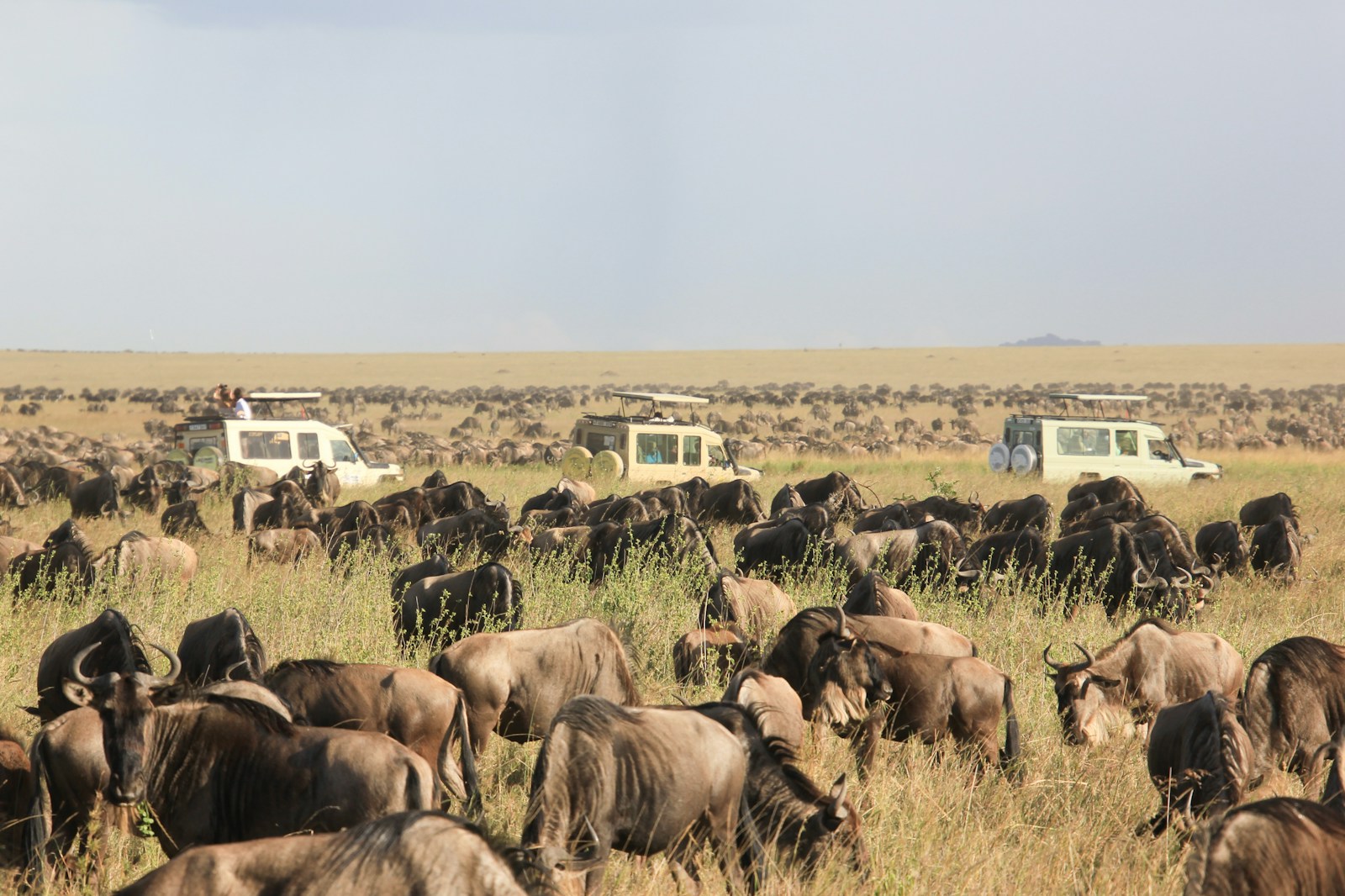Serengeti safari Zanzibar itinerary