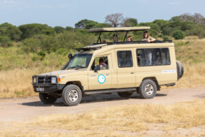 Tanzania safari Southern Circuit company