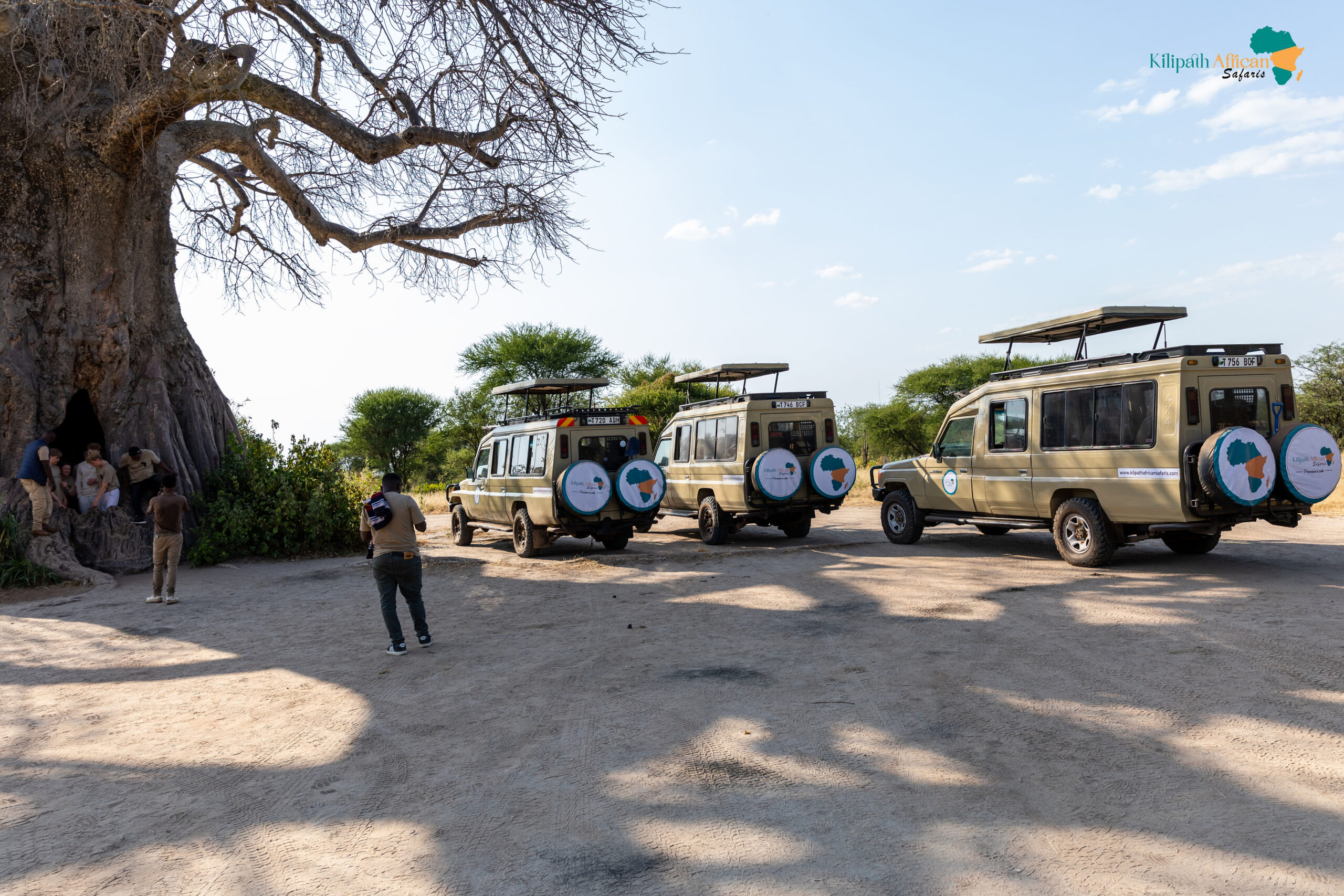 Private Tarangire Safari Deal