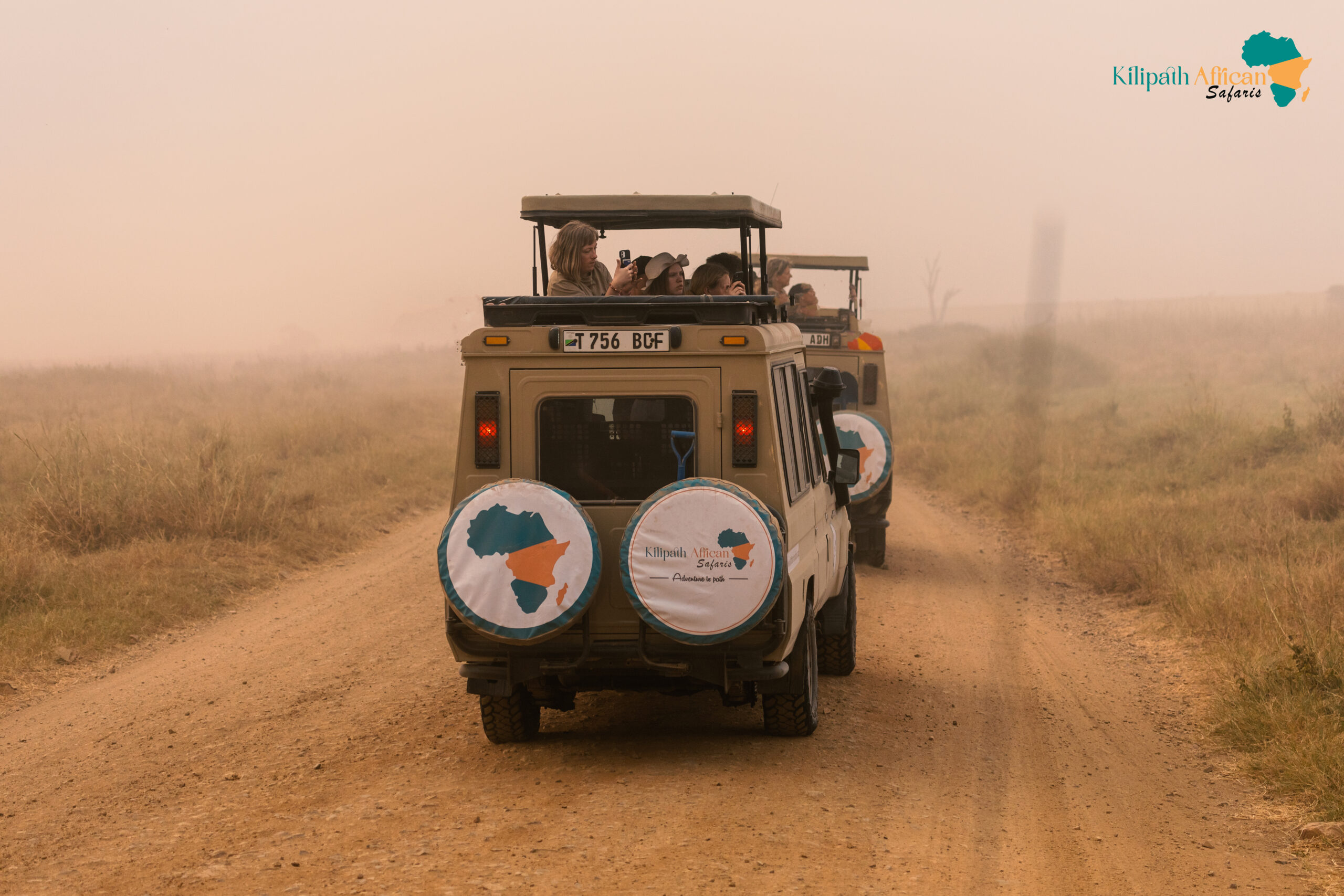 Budget Tanzania Wildlife Safari Planning
