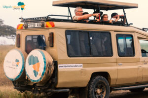 Tanzania Safari Packages