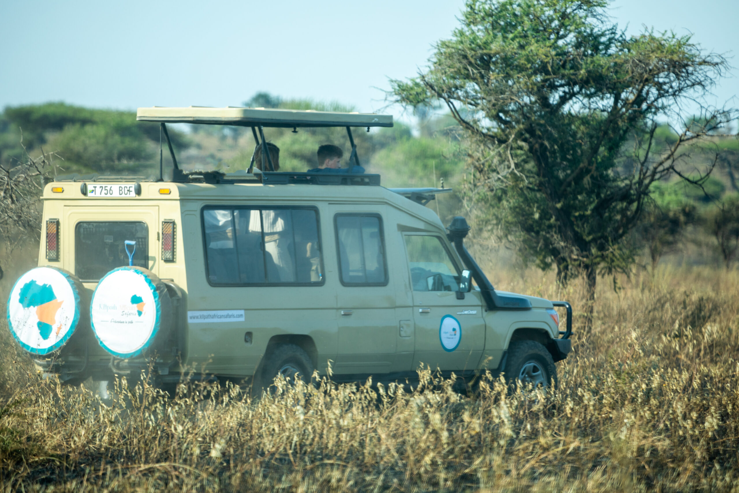 Tanzania Safari Northern Circuit Trip