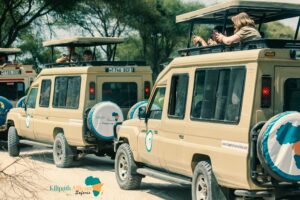 Budget Tanzania Safari Cost Experience