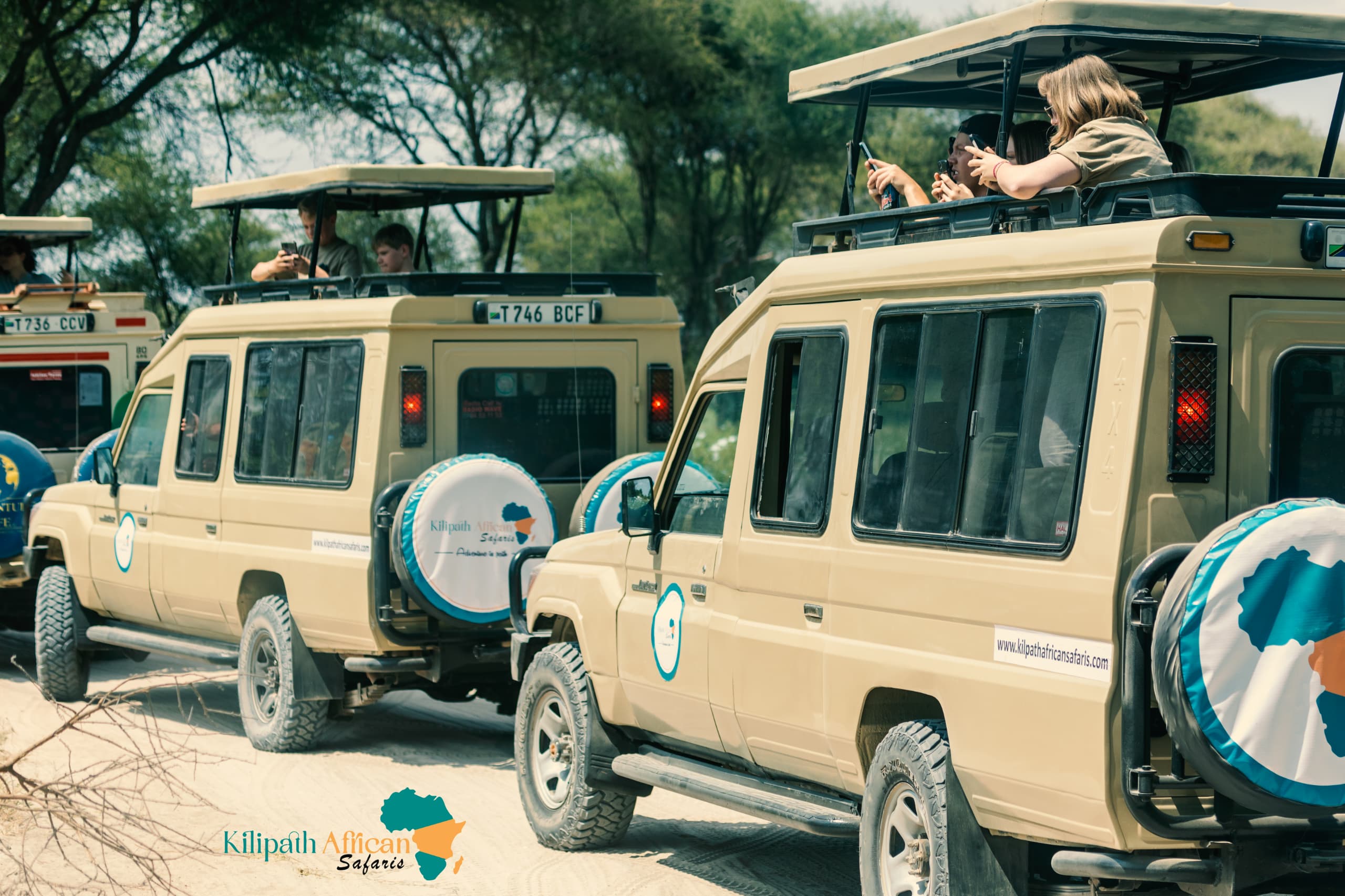 Budget Tanzania Safari Cost Experience