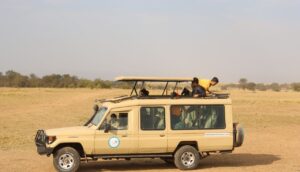 Tanzania safari cost Southern Circuit travel guide