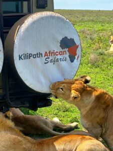 Tanzania Safari Package Serengeti Holiday