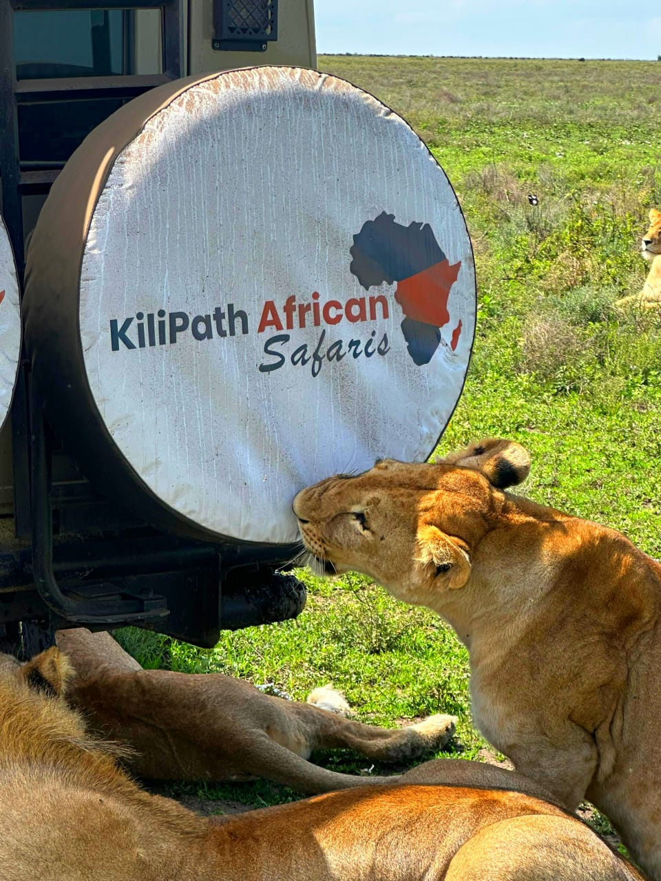 Tanzania Safari Package Serengeti Holiday