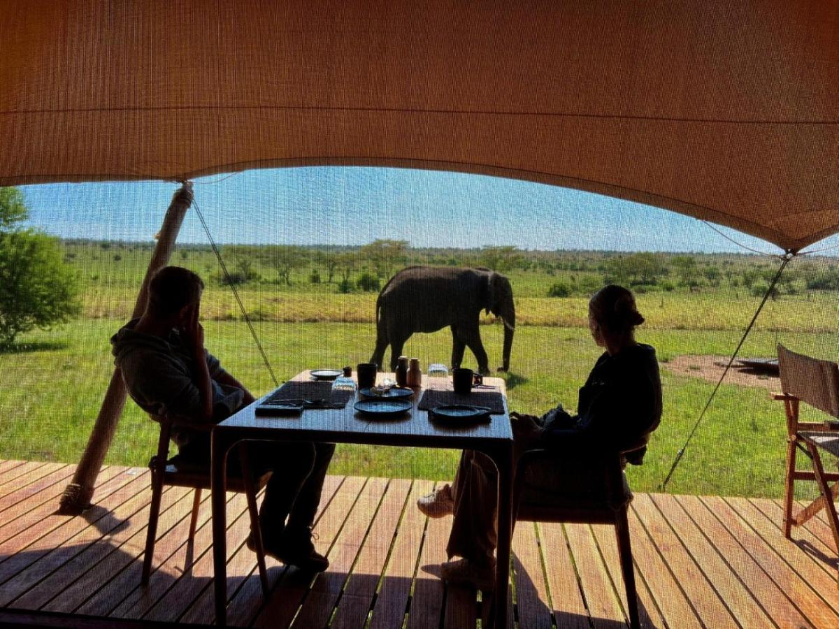 Affordable Tanzania Safari Package Cost