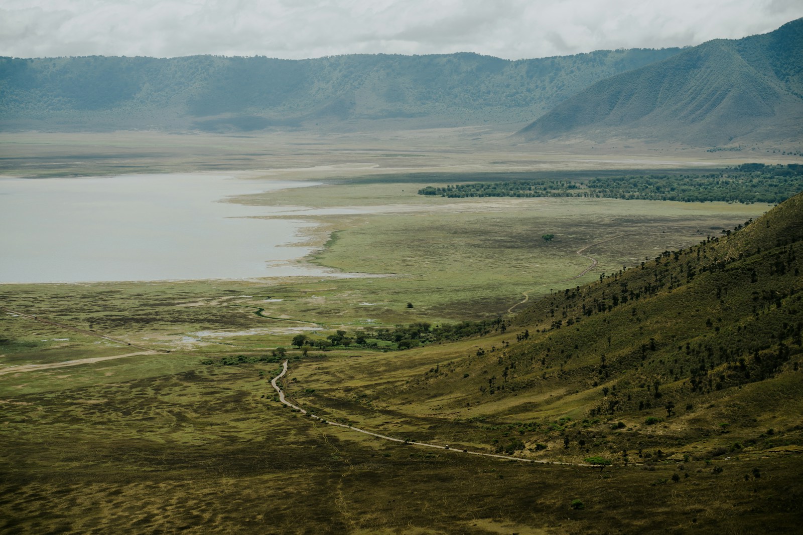 Ngorongoro Crater safari Ruaha experience