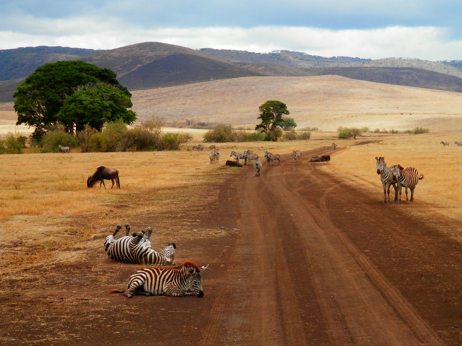 Tanzania safari tour Tanzania adventure