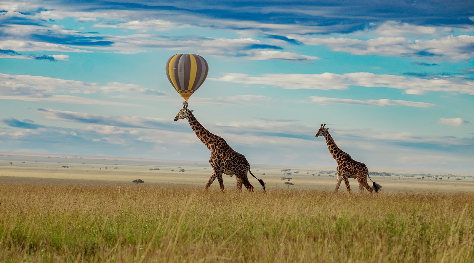 Best Serengeti Safari Travel Guide