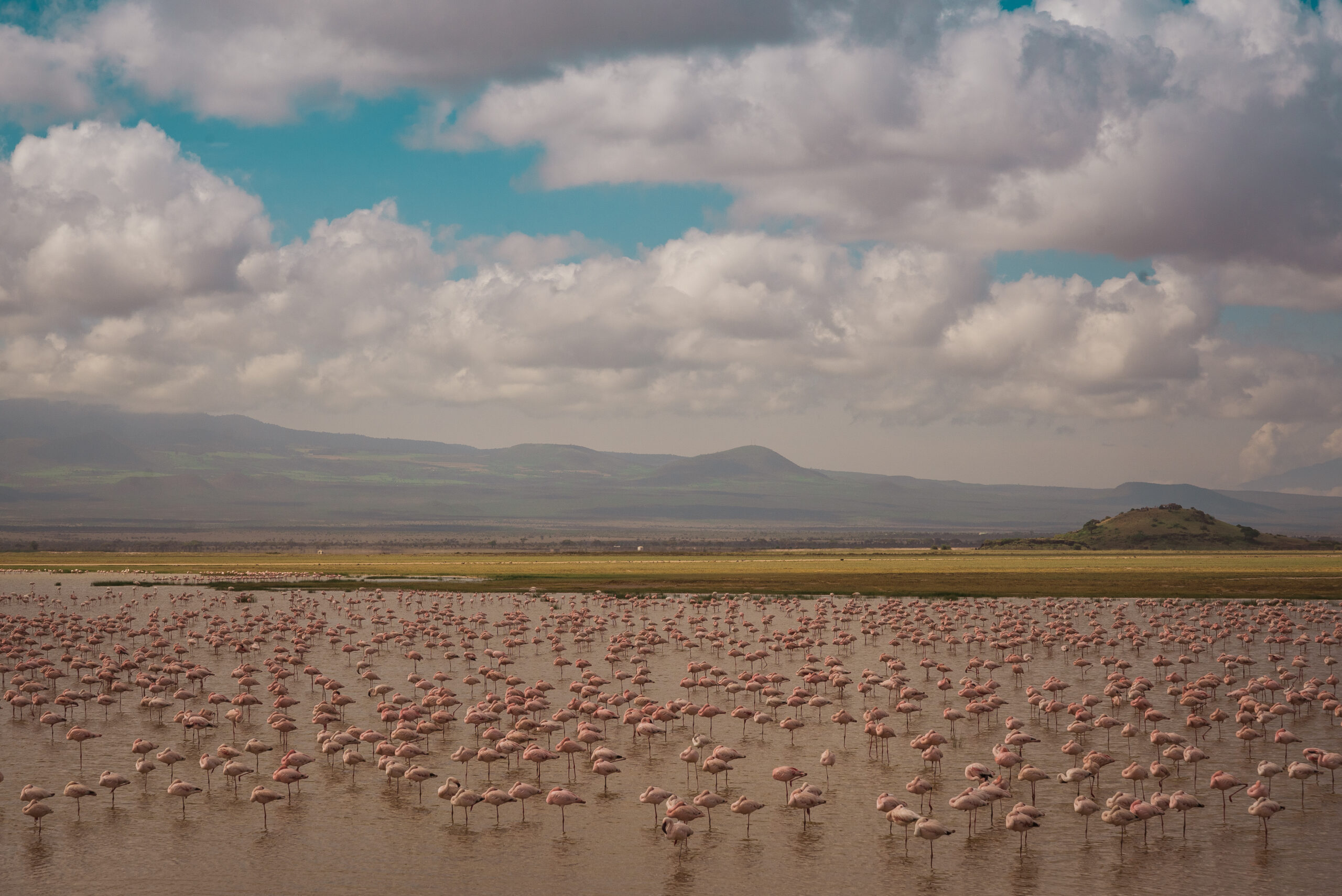 Tanzania Safari Tour Lake Manyara Trip