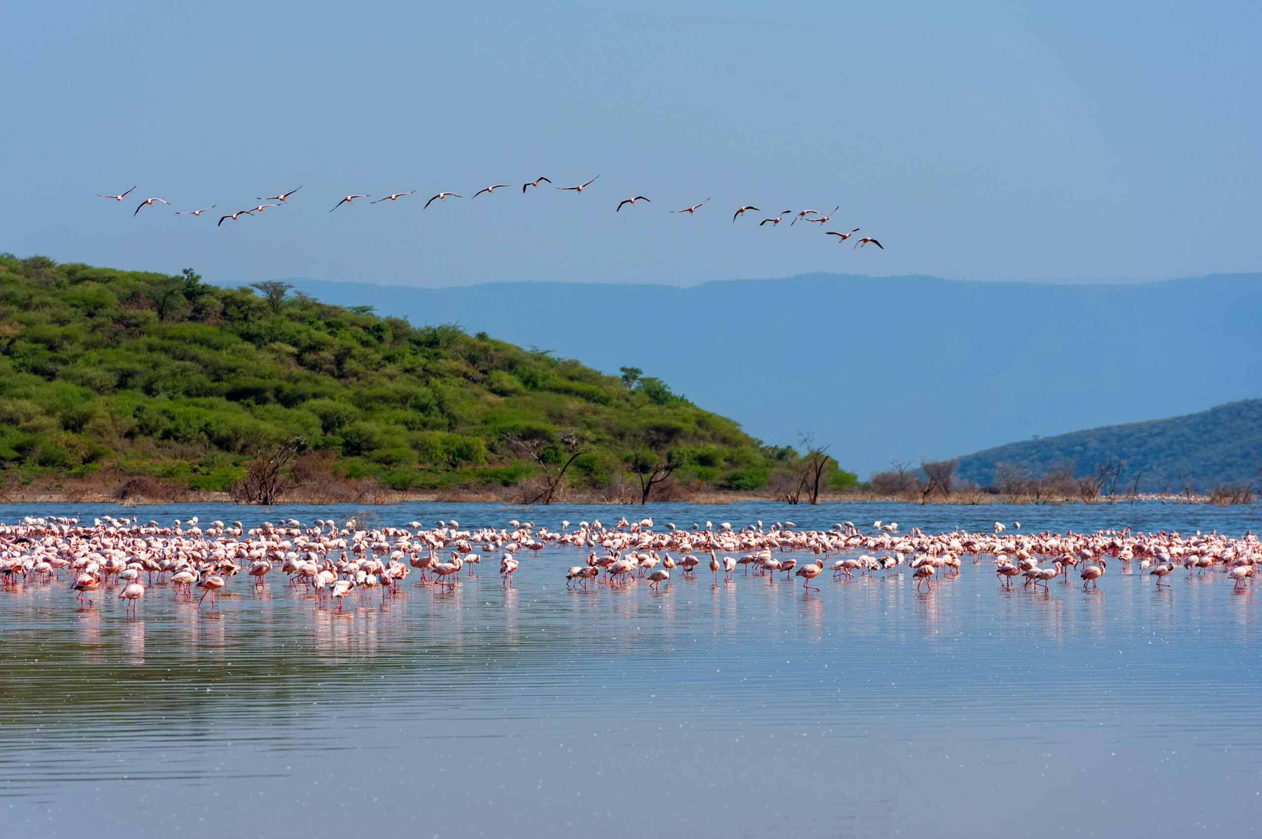 Tanzania Safari Lake Manyara
